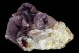 Wide, Amethyst Crystal Cluster - Boekenhoutshoek, South Africa #115385-1